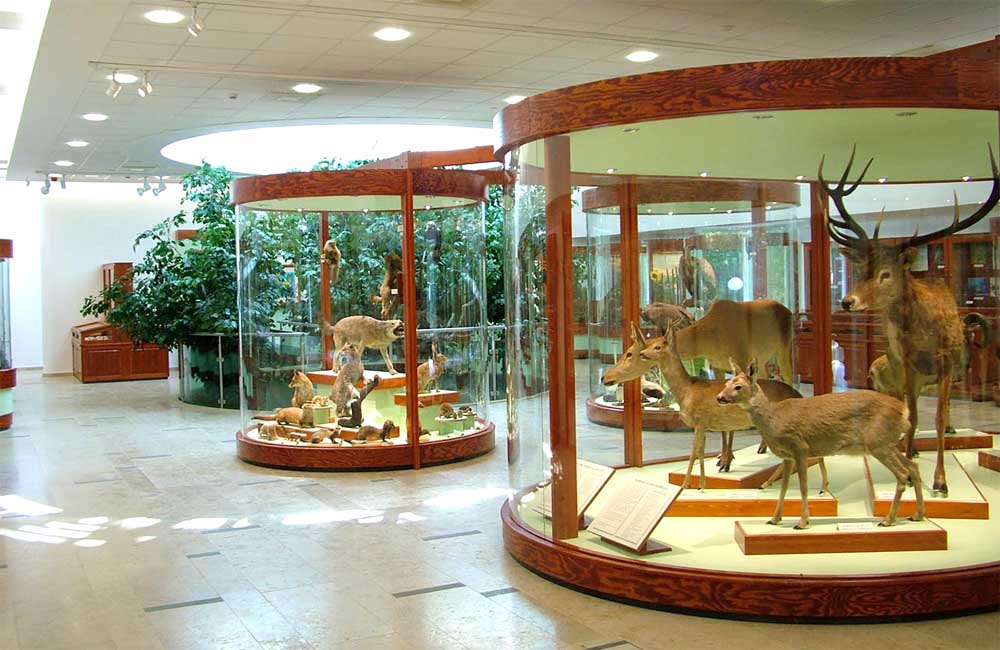 Mátra múzeum gyöngyös