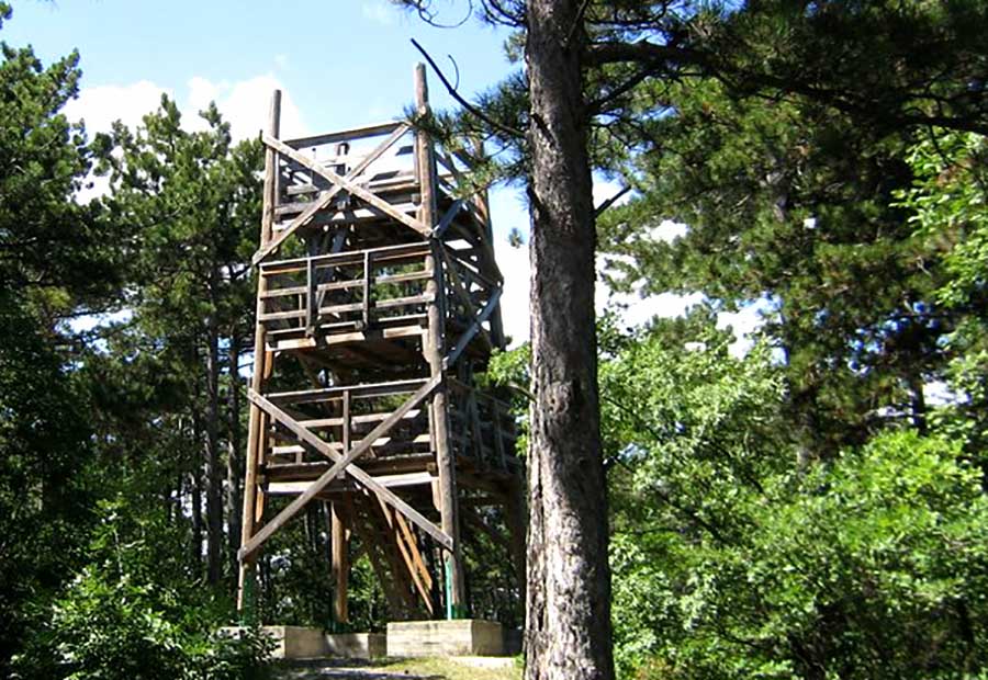 Kitaibel kilátó Vonyarcvashegy