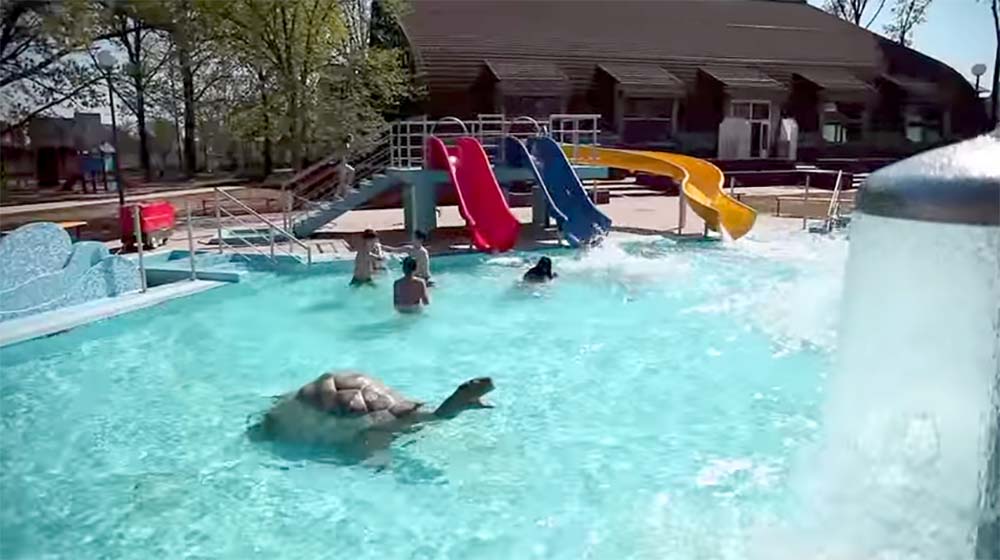 B ihar termálliget - Berettyóújfalu