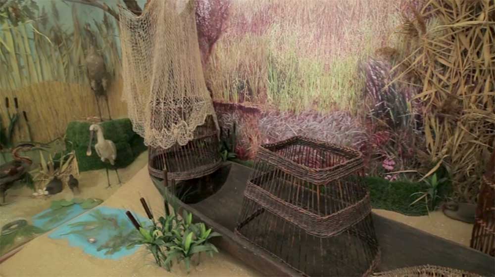 Bihari múzeum - élet a vízivilágban