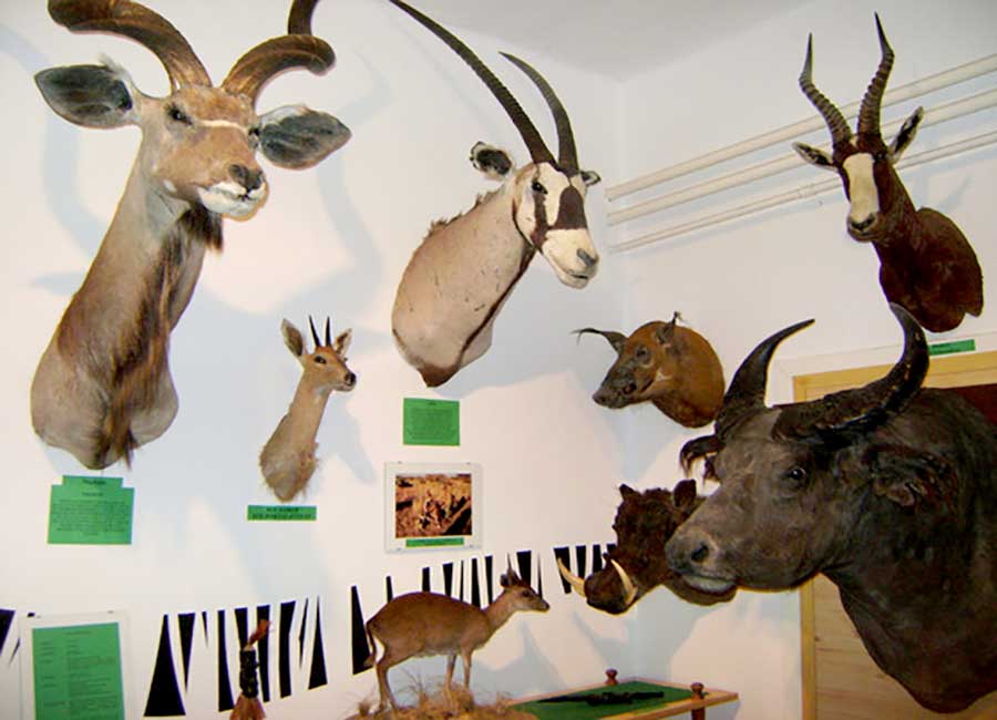 Őrségi vadászati kiállítás