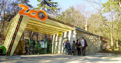 Pécsi állatkert