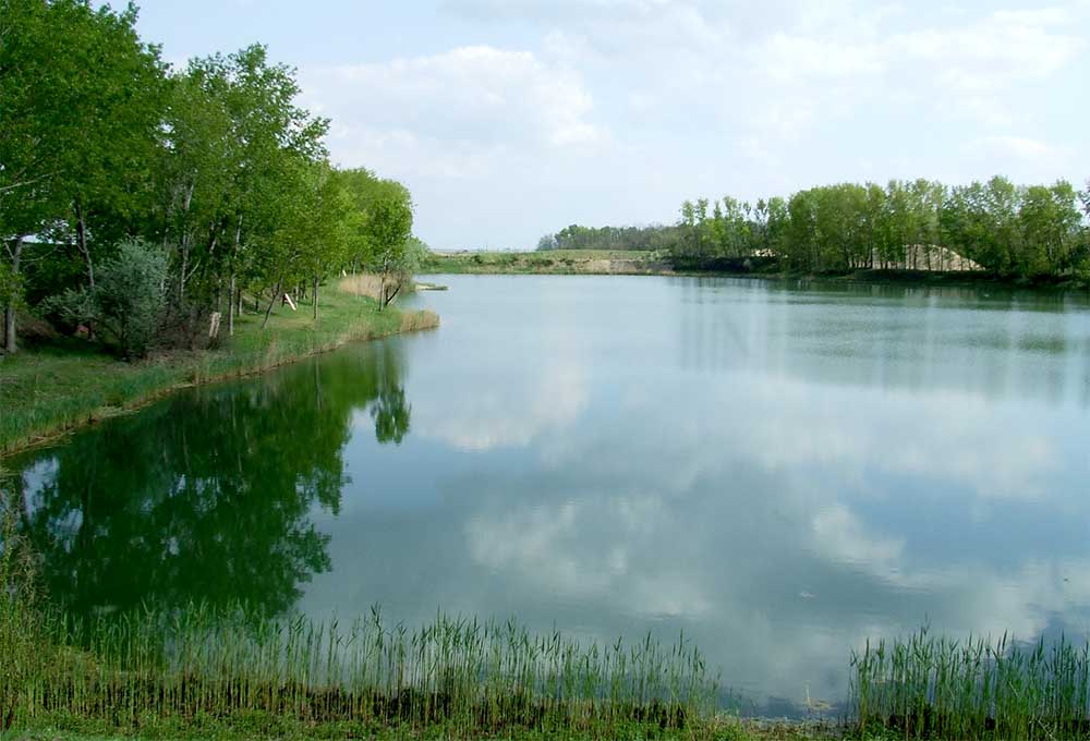 Pázsit tó - Pócsmegyer