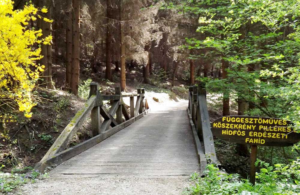 Füvészkert - Visegrád