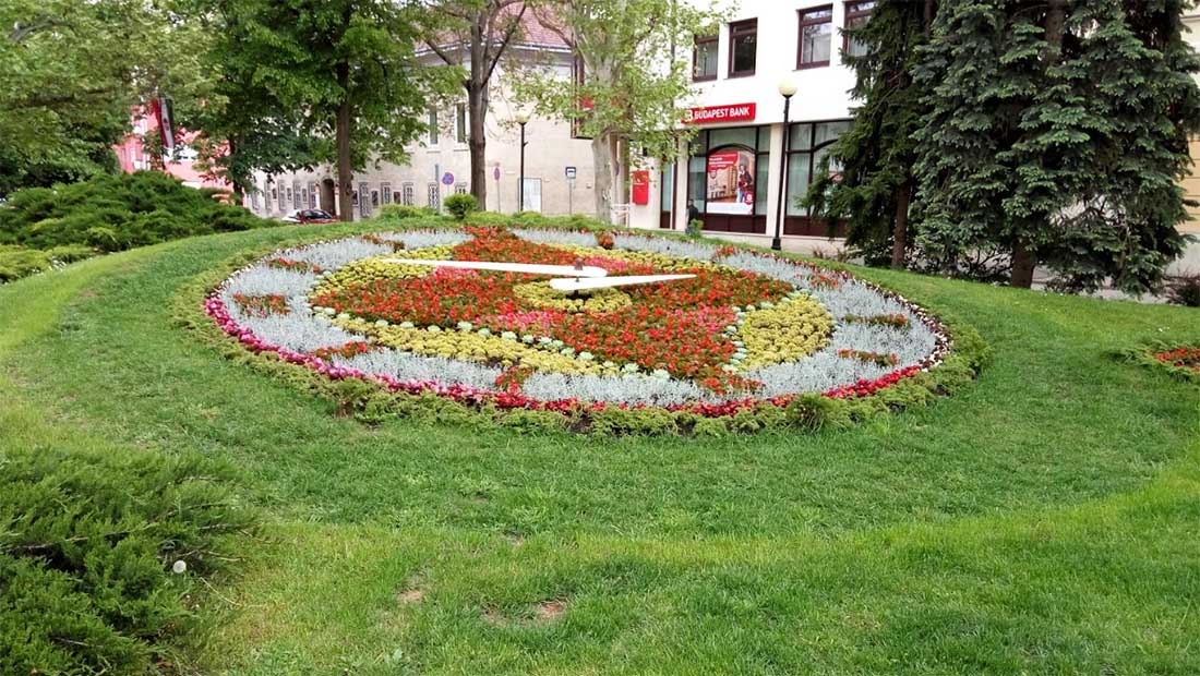 Virágóra - Székesfehérvár