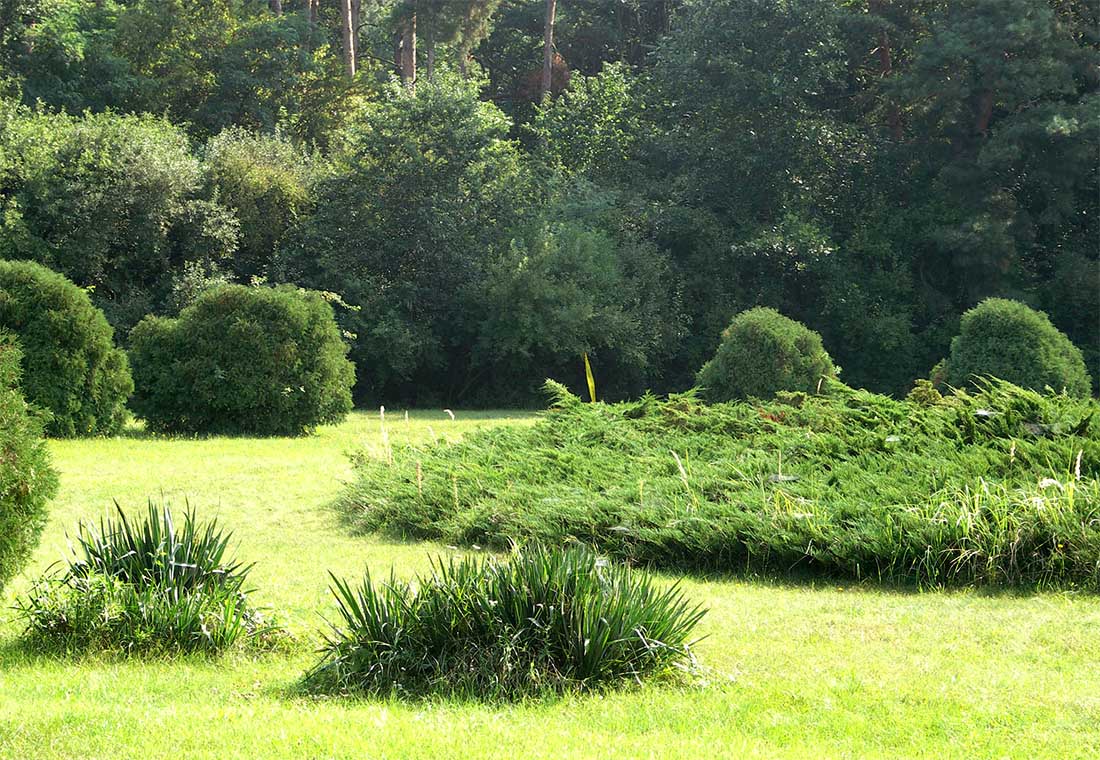 Gödöllői Arborétum