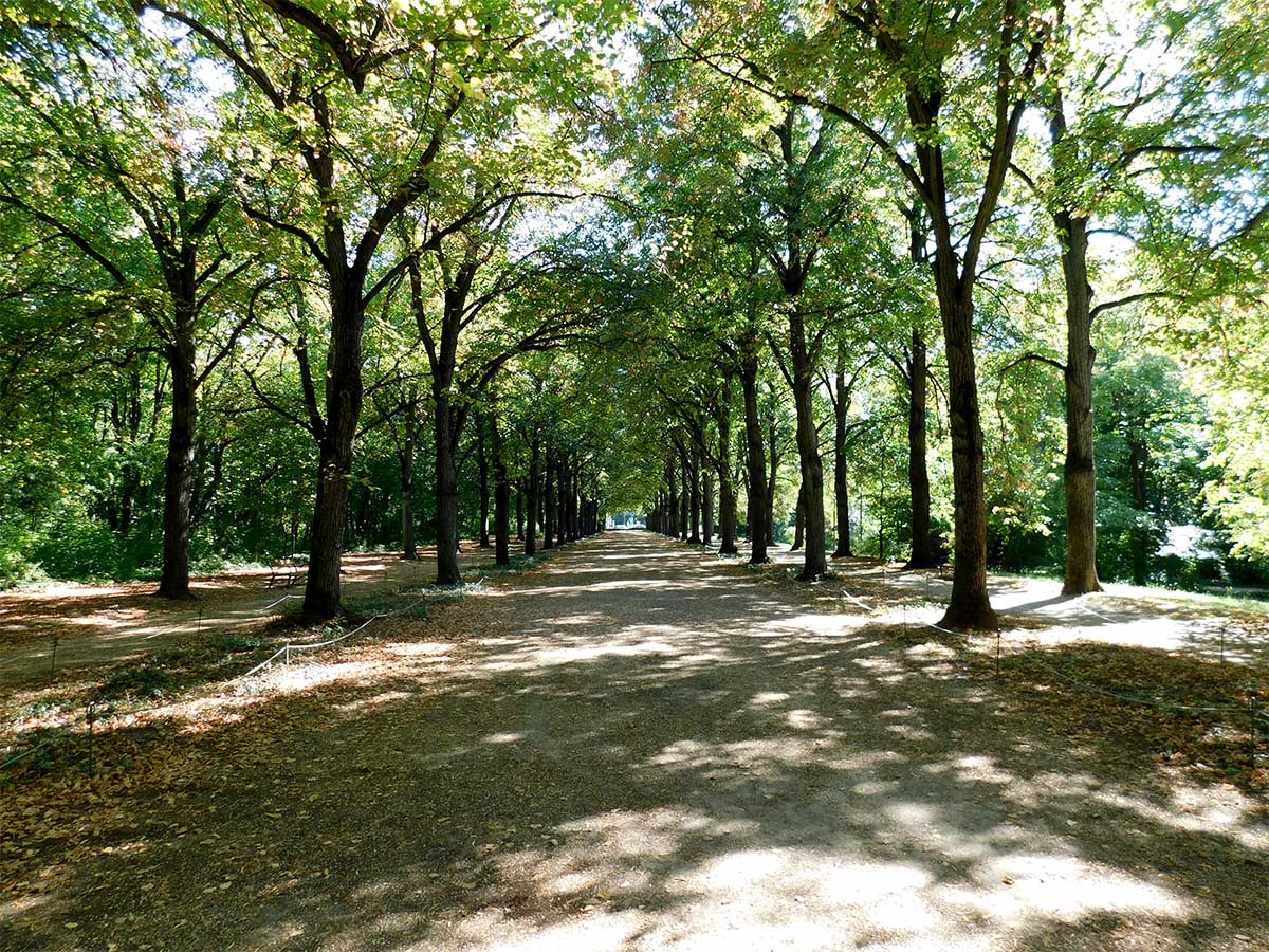 Erzsébet park - Gödöllő