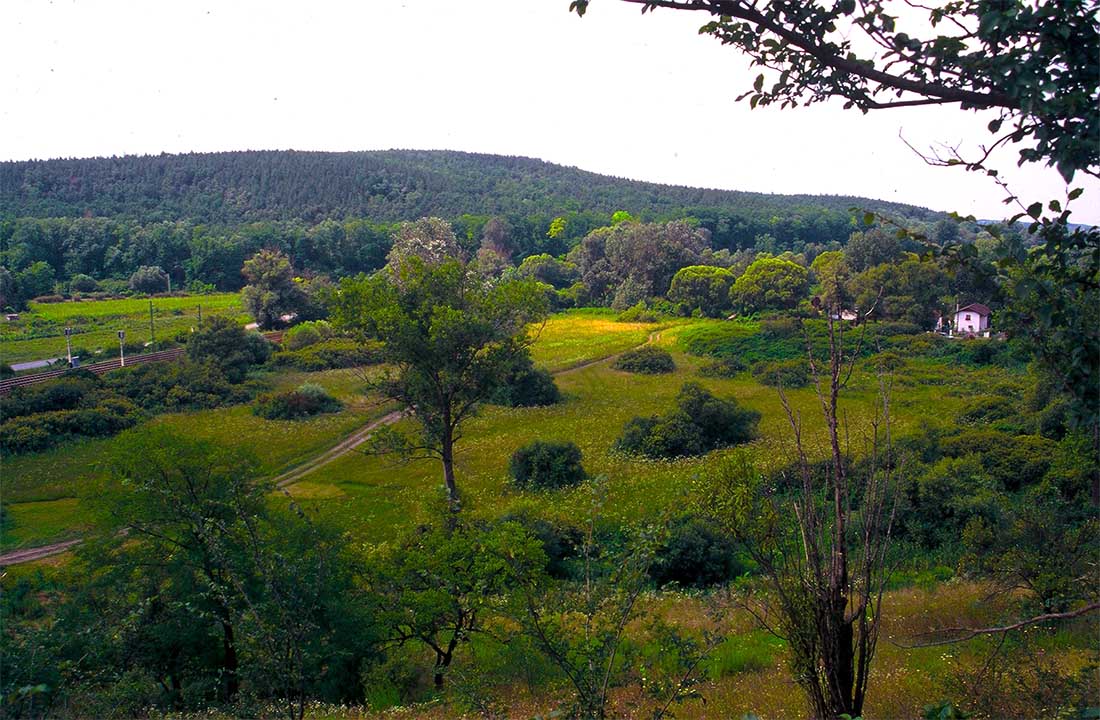 Gödöllői dombság