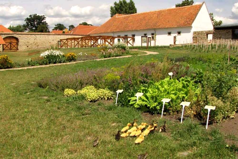 Georgikon Majortörténeti Kiállítóhely
