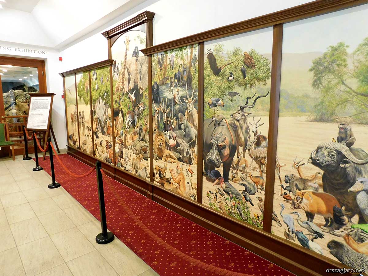 Vadászati kiállítás - Keszthely