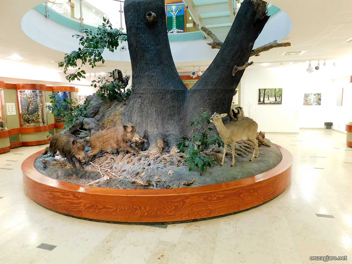 Mátra múzeum - Gyöngyös