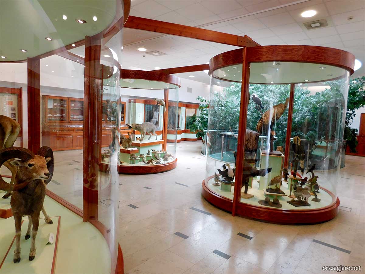 Mátra múzeum - Gyöngyös