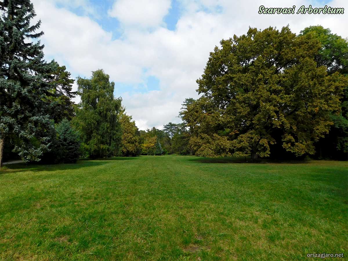 Szarvasi arborétum