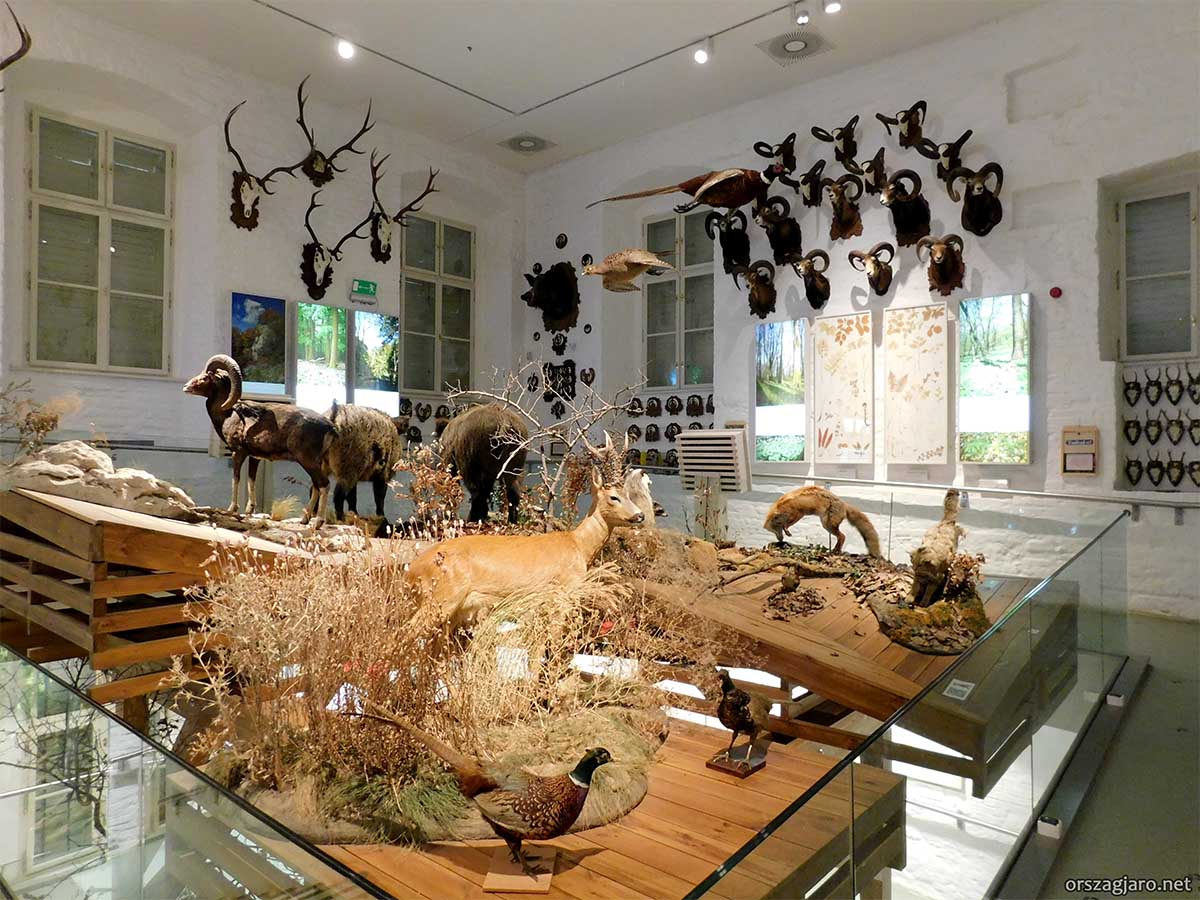 Vadászati múzeum - Hatvan